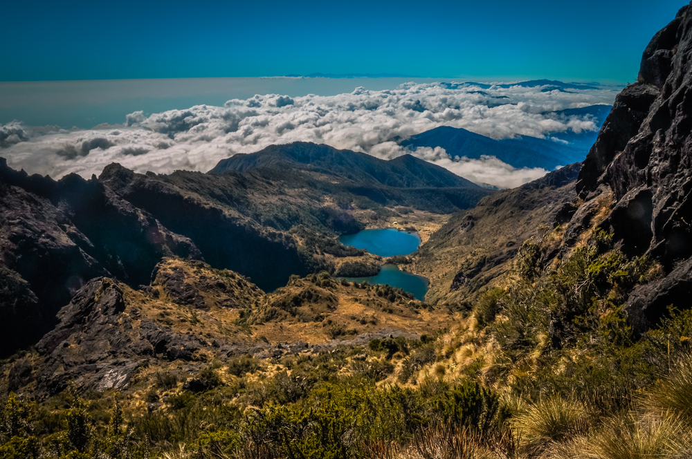 Papua New Guinea