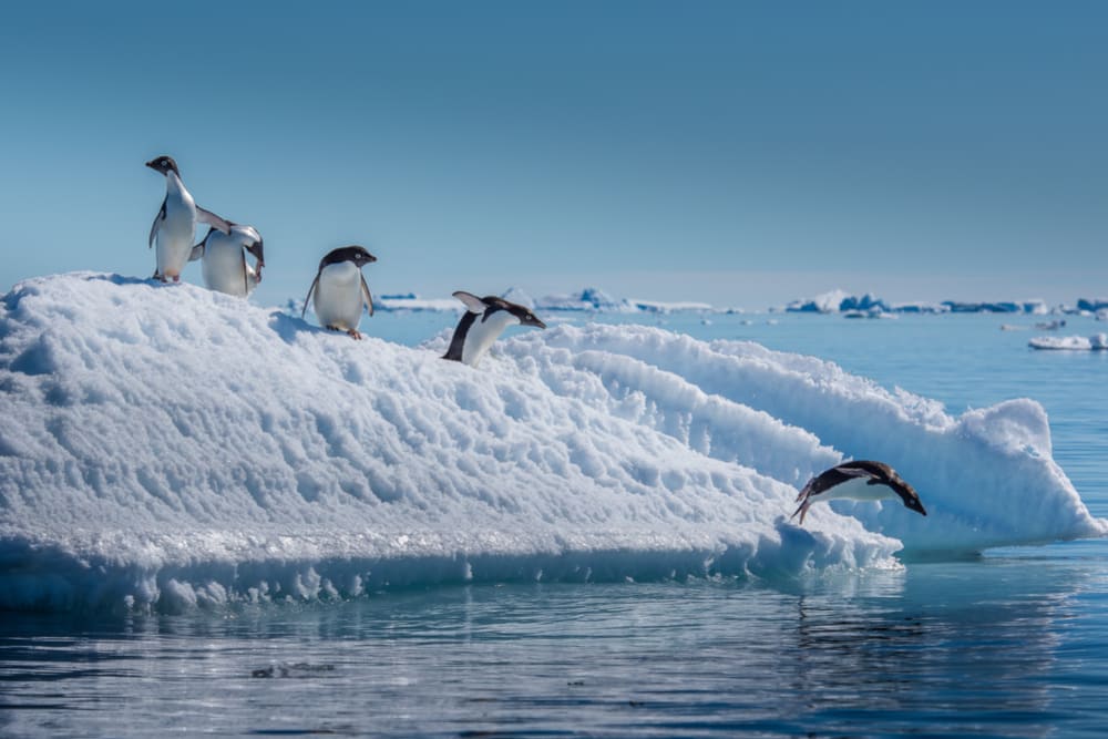 A Journey to the End of Planet Earth ~ Antarctica