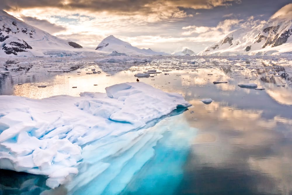 A Journey to the End of Planet Earth ~ Antarctica