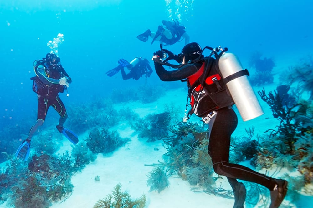 Scuba in Cuba: A Guide to the Best Dive Sites