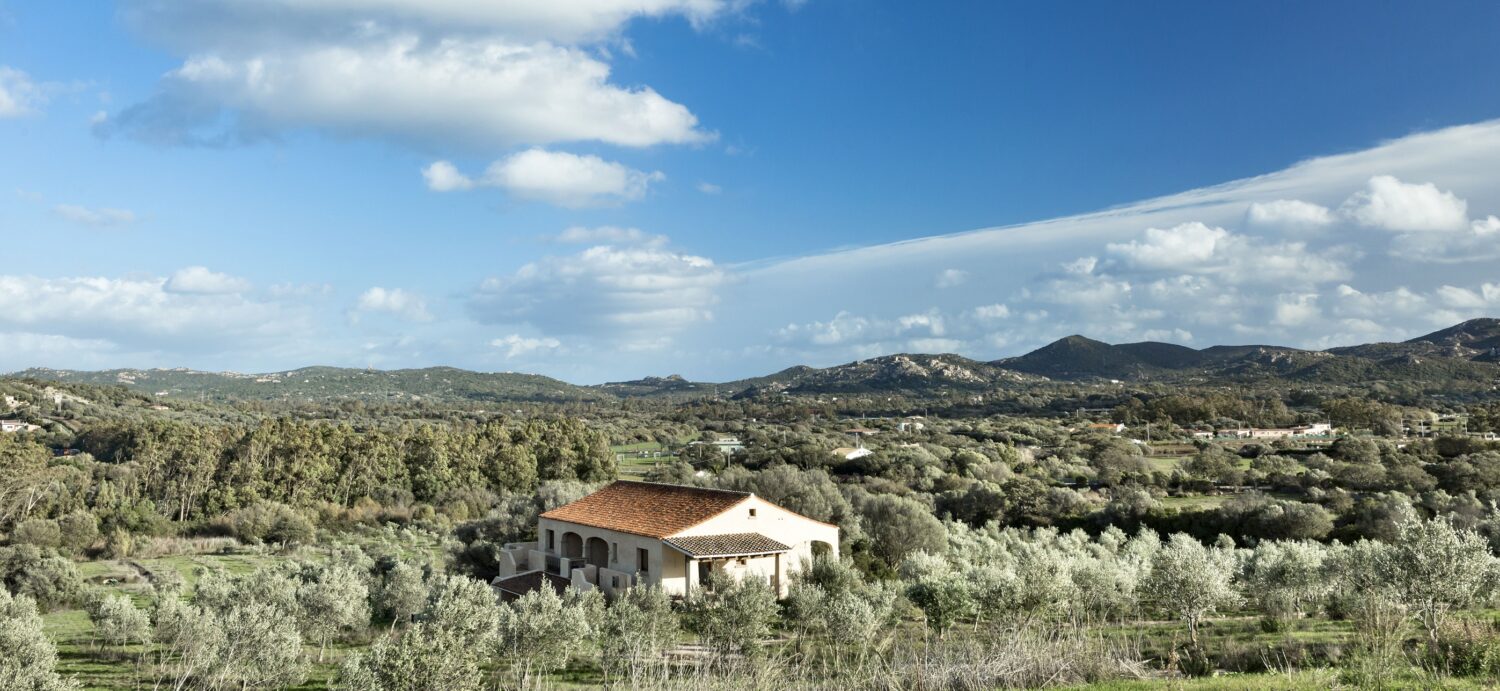 Cascioni Eco Retreat Olive Grove